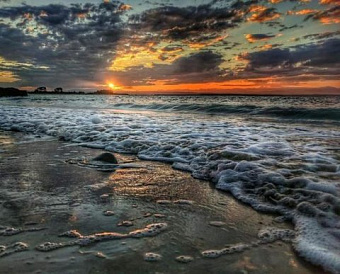 Изменена форма заявления о госрегистрации изменений, внесенных в учредительный документ