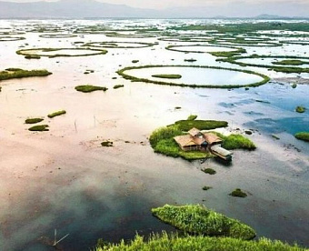 Предлагается считать обособкой имущество фирмы, сдаваемое в аренду