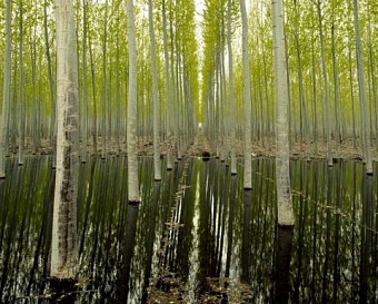 Наиболее важные новости недели 23-27 мая 2022 года