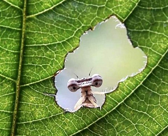 О возобновлении выездной проверки сообщили через 4 месяца - нарушений нет