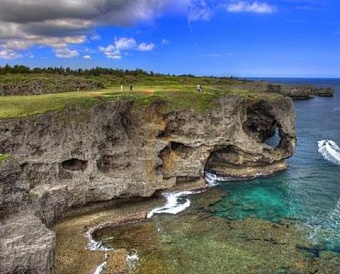 ФНС привела примеры, когда ВС признал незаконной льготную ставку земельного налога