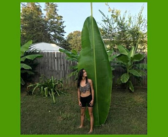 Когда гражданин может лишиться права на лимит роста земельного налога