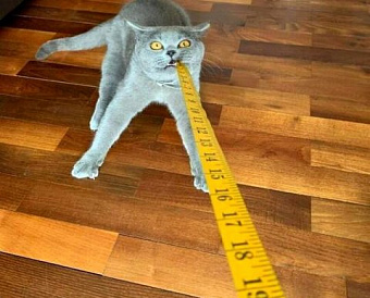 ФСС обновил электронный формат и контрольные соотношения к форме 4-ФСС