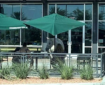 Для проверки ККТ в этом году не нужно риска наступления сверх-серьёзных последствий