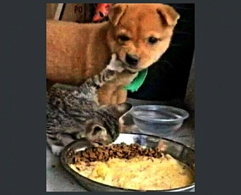 Минфин разъяснил, как гражданину уменьшить НДФЛ с доходов от ликвидации фирмы