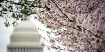 Bain Capital планирует продать японского оператора курортов за $1 млрд