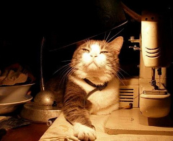 Для оплаты за услуги, оказываемые физлицом иностранному заказчику, нужен счет