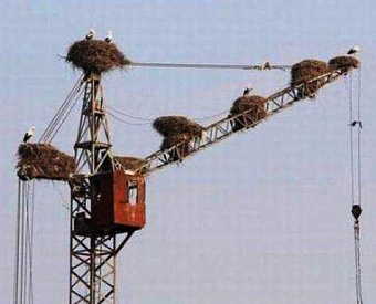 Разъездные работы вообще и "подвижные" в строительстве: как считать НДФЛ и взносы