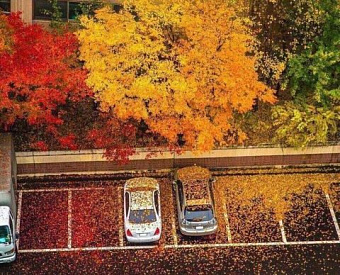 Как с 1 октября заполнять налоговые платежки, разъяснила ФНС