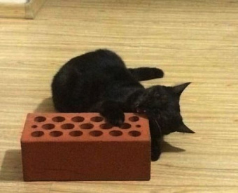 ЕАК ввела новые сертификации для специалистов в сфере финансов, аналитики и налогов