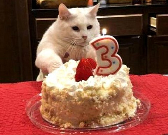 Налогообложение цифровых финансовых активов принято в первом чтении