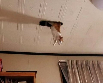 Предельные базы по взносам на 2022 год утверждены постановлением