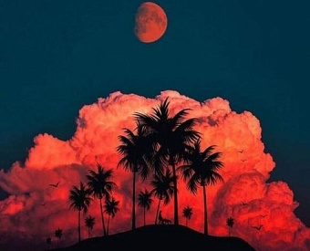 Скоро истечет установленный срок уплаты физлицами налогов за 2020 год