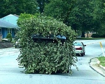 Правительство утвердило правила обмена электронными перевозочными документами