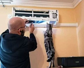 Прослеживаемый товар используется при выполнении работ: как оформить счет-фактуру