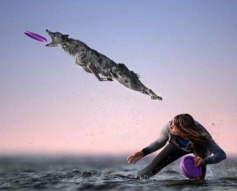 Работа фирм с самозанятыми: при проверках - больше акцента на трудовые отношения