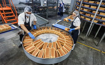 Правительство подготовило меры поддержки производителей хлеба и молока