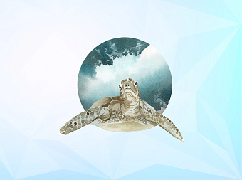 Росприроднадзор предложил потратить штраф «Норникеля» на очистку морей