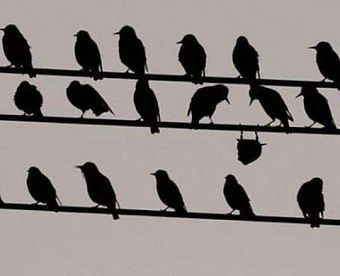 Минфин рассказал о трех реестрах в сфере аудита - что нового и чем регламентировано