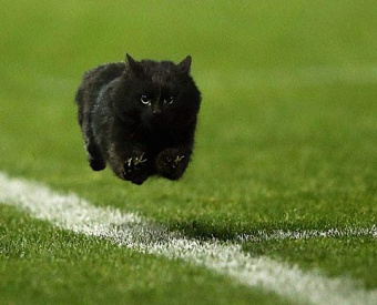 Росстат приблизил сроки сдачи некоторых важных отчетов